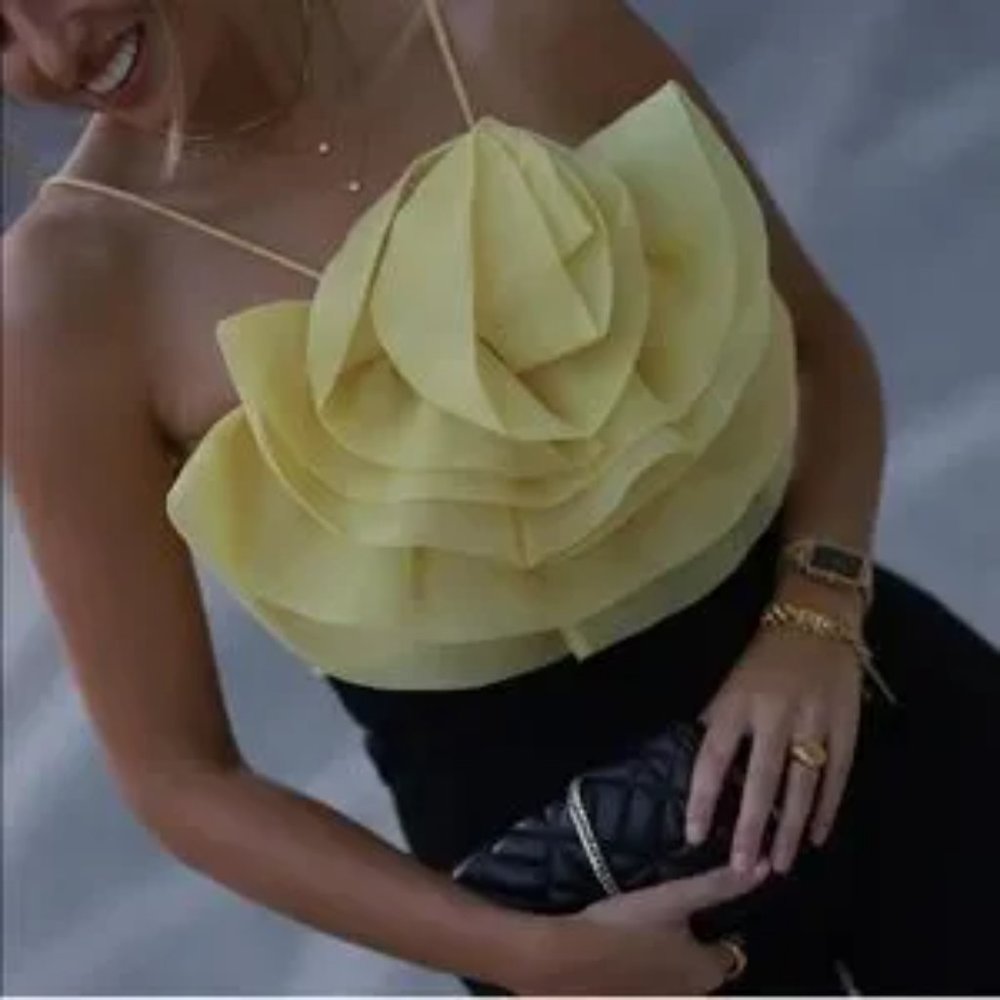 ZARA Floral Organza Top - Picture 15 of 15